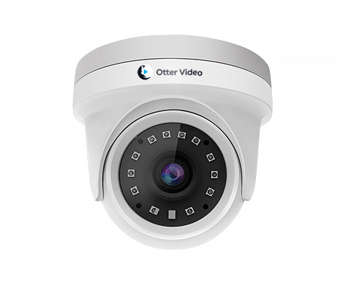 2MP Dome camera